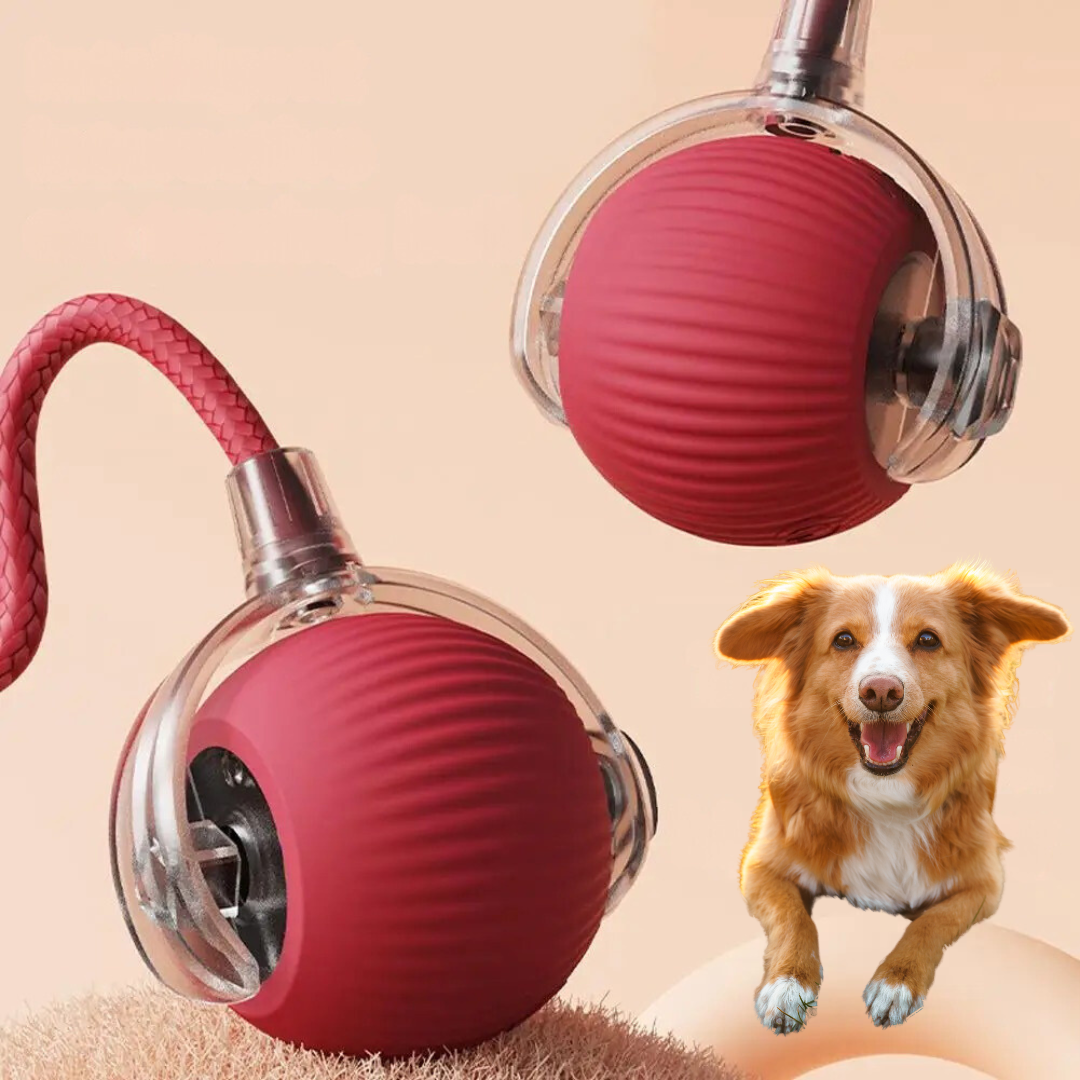 Lisslune | Interactive Rolling Ball Toy with Tail for Dogs