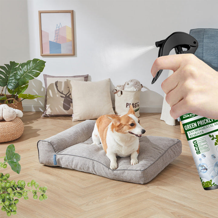 Lisslune | Powerful Mite Remover Spray