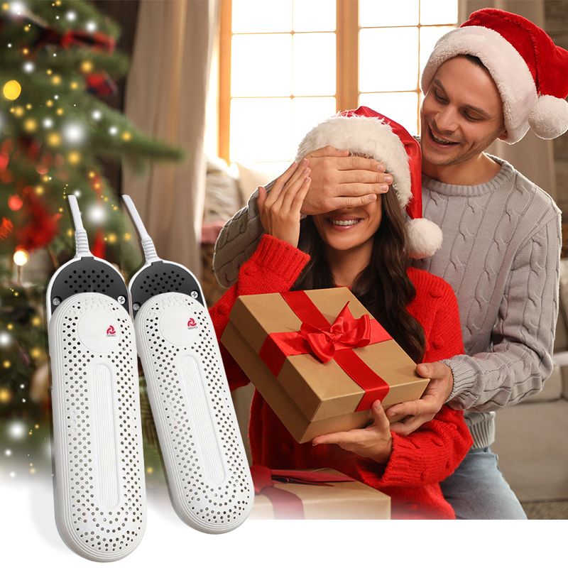 Lisslune | Antibacterial Shoe Dryer for Odor Elimination
