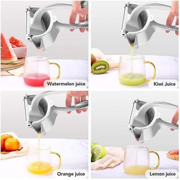 Lisslune | Stainless Steel Fruit Juice Press