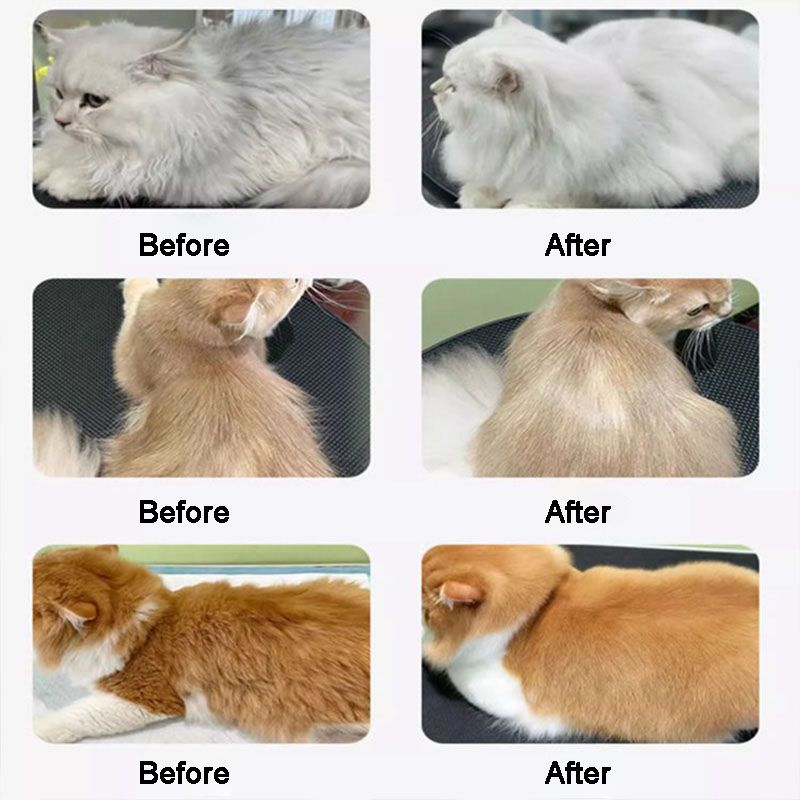 Lisslune | Pet Shiny and Smooth Hair Care Conditioner