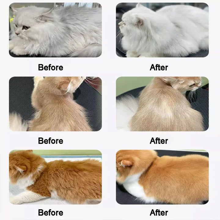 Lisslune | Pet Shiny and Smooth Hair Care Conditioner