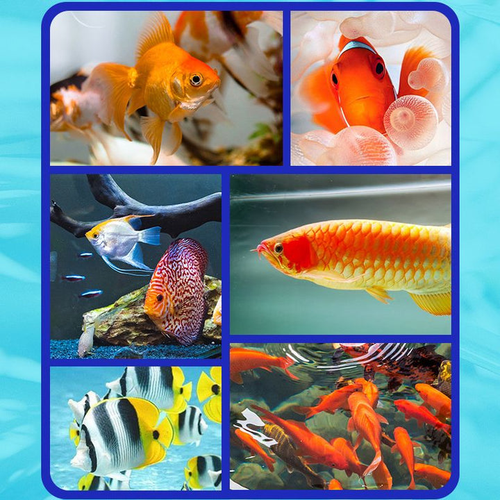 Lisslune | Fish Tank Water Purifier Algae Remover