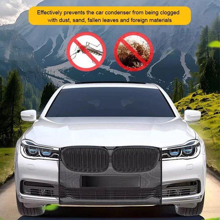 Lisslune | Protection net for car grill