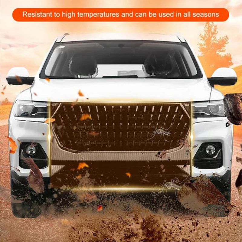 Lisslune | Protection net for car grill