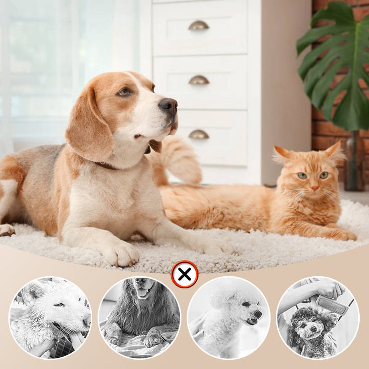 Lisslune | Low Noise Pet Hair Dryer with Slicker Brush