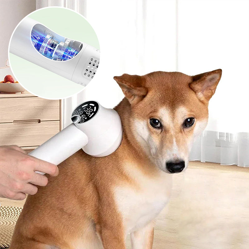 Lisslune | Low Noise Pet Hair Dryer with Slicker Brush