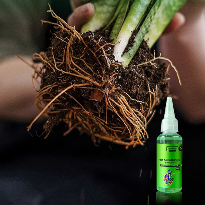 Lisslune | Fast-Acting Nutrient Solution for Plants