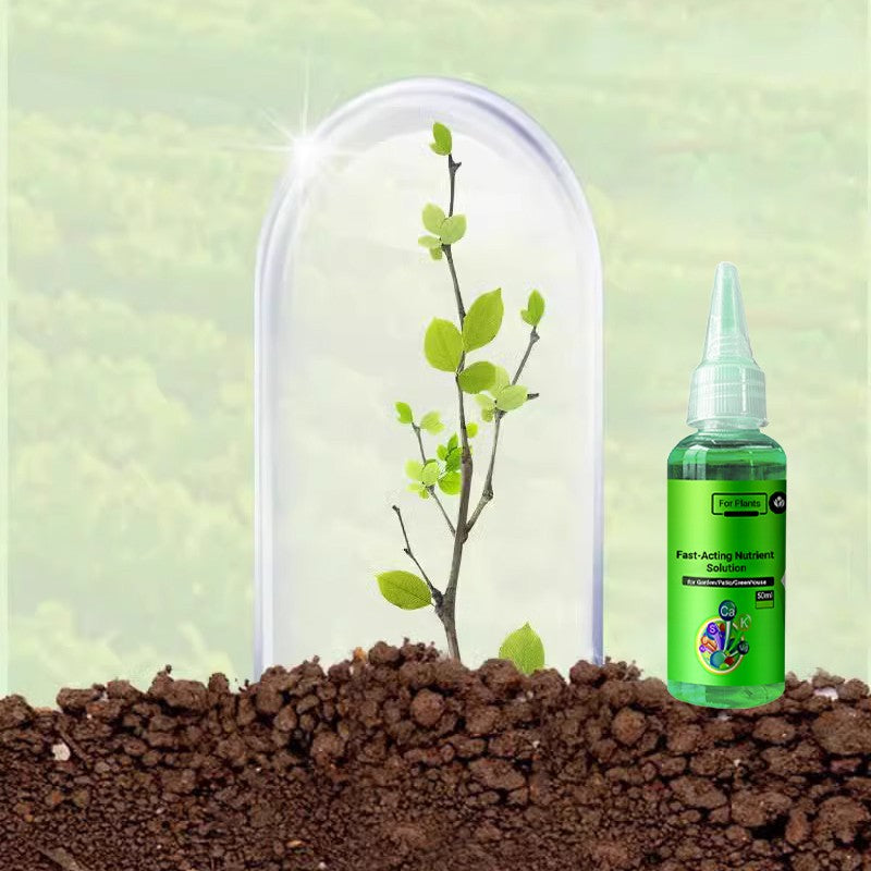 Lisslune | Fast-Acting Nutrient Solution for Plants