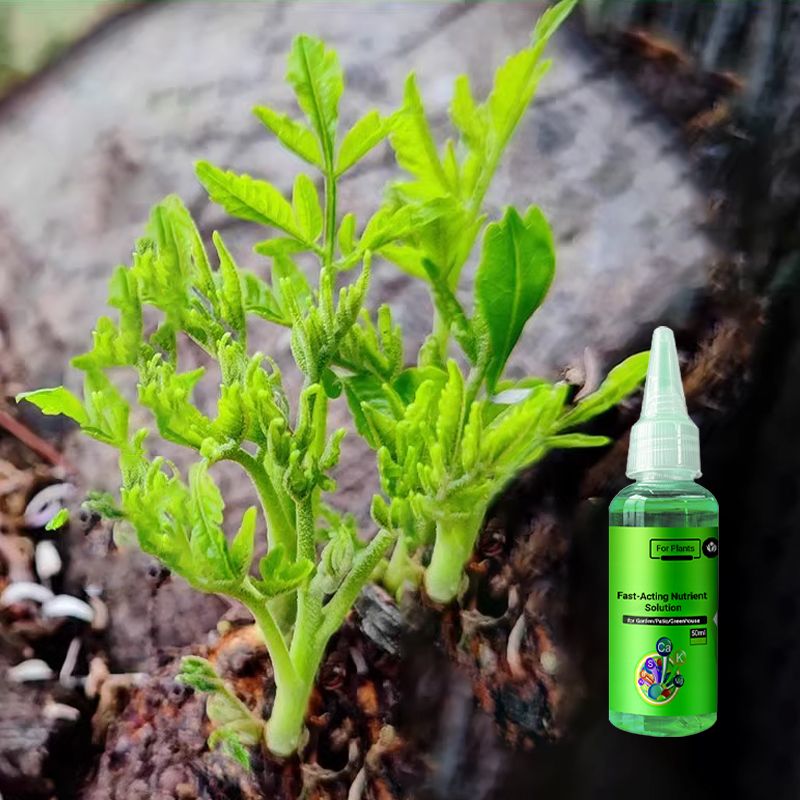 Lisslune | Fast-Acting Nutrient Solution for Plants
