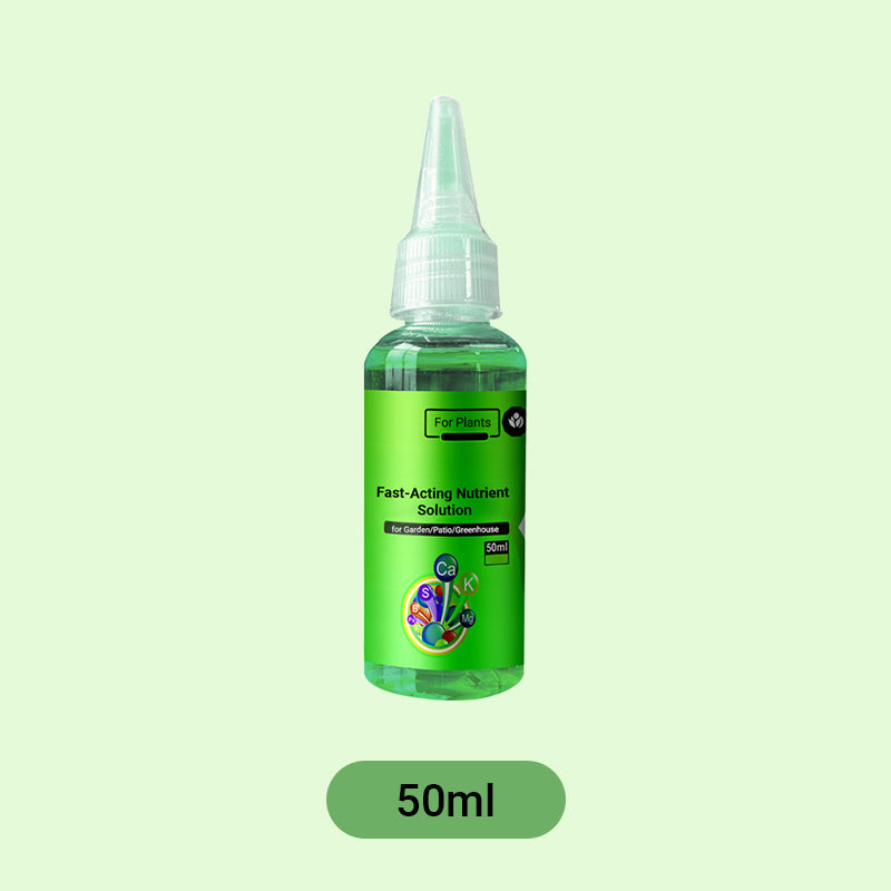Lisslune | Fast-Acting Nutrient Solution for Plants
