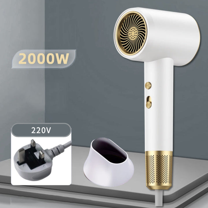 Lisslune | High-Speed Negative Ion Hair Dryer