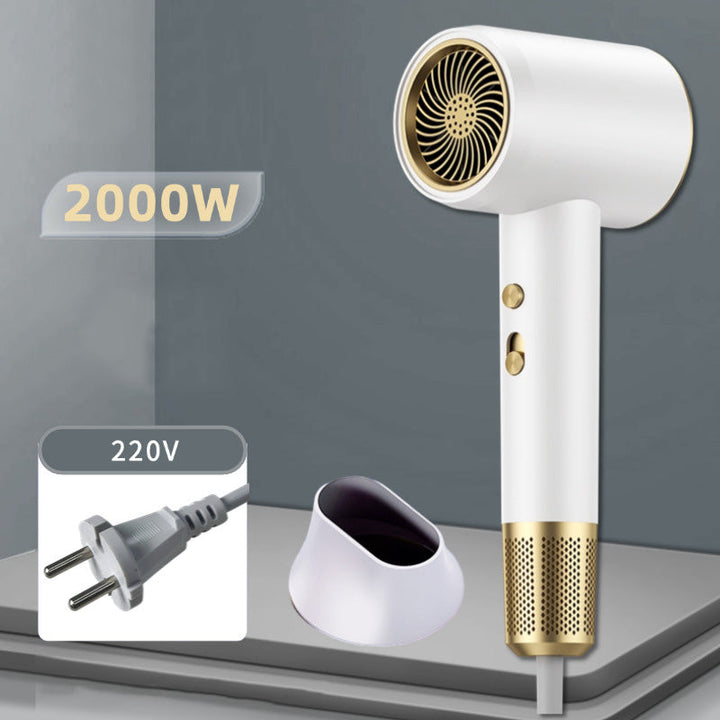 Lisslune | High-Speed Negative Ion Hair Dryer