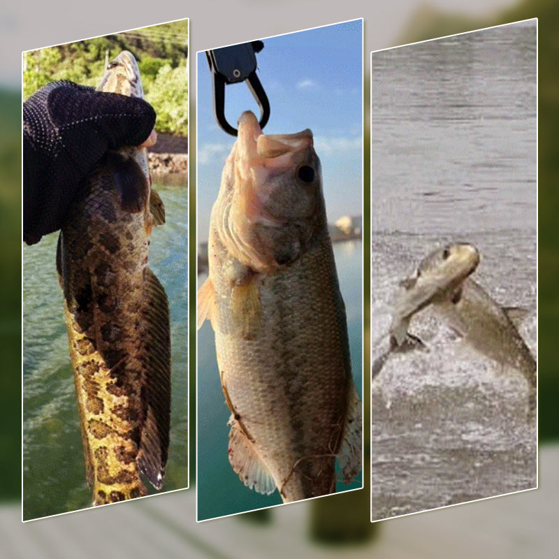 Lisslune | Realistic 3D floating fishing lure set with 3 hooks