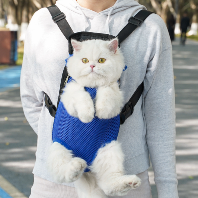 Lisslune | FellFreund TravelBuddy – The comfort backpack for on the go