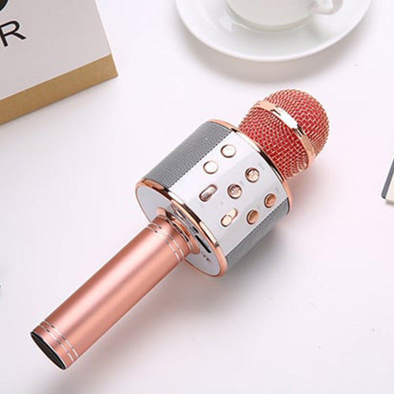 Lisslune | Sing Anywhere: The ultimate wireless karaoke microphone!
