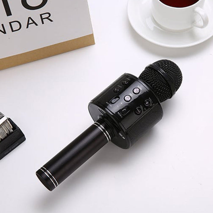 Lisslune | Sing Anywhere: The ultimate wireless karaoke microphone!