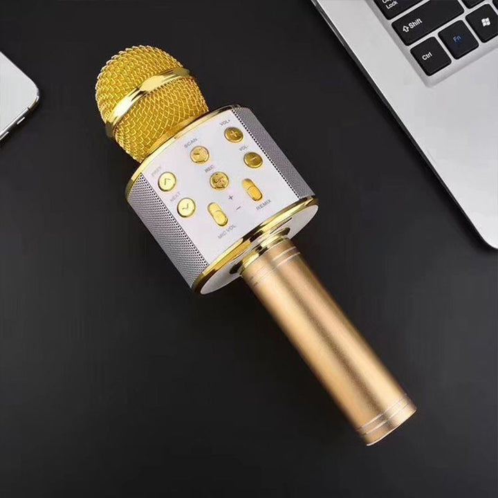 Lisslune | Sing Anywhere: The ultimate wireless karaoke microphone!
