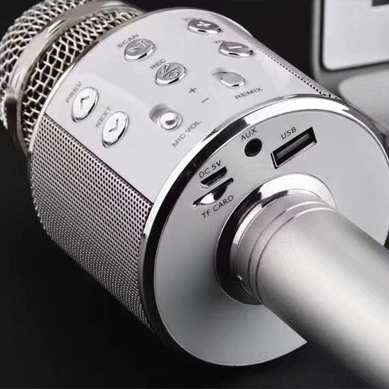 Lisslune | Sing Anywhere: The ultimate wireless karaoke microphone!