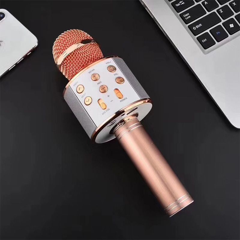 Lisslune | Sing Anywhere: The ultimate wireless karaoke microphone!