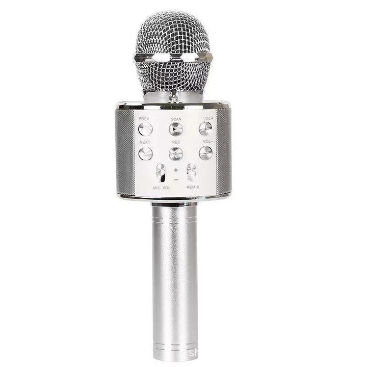 Lisslune | Sing Anywhere: The ultimate wireless karaoke microphone!