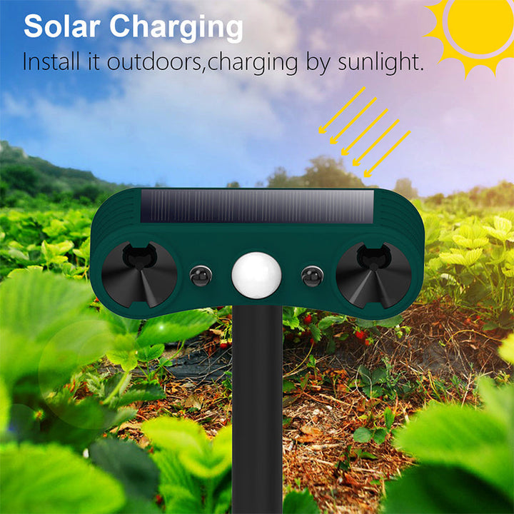 Lisslune | Solar motion sensor outdoor alarms for deterrence