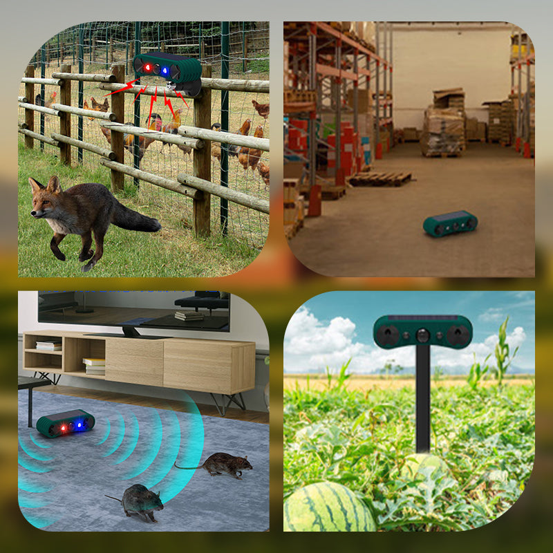Lisslune | Solar motion sensor outdoor alarms for deterrence