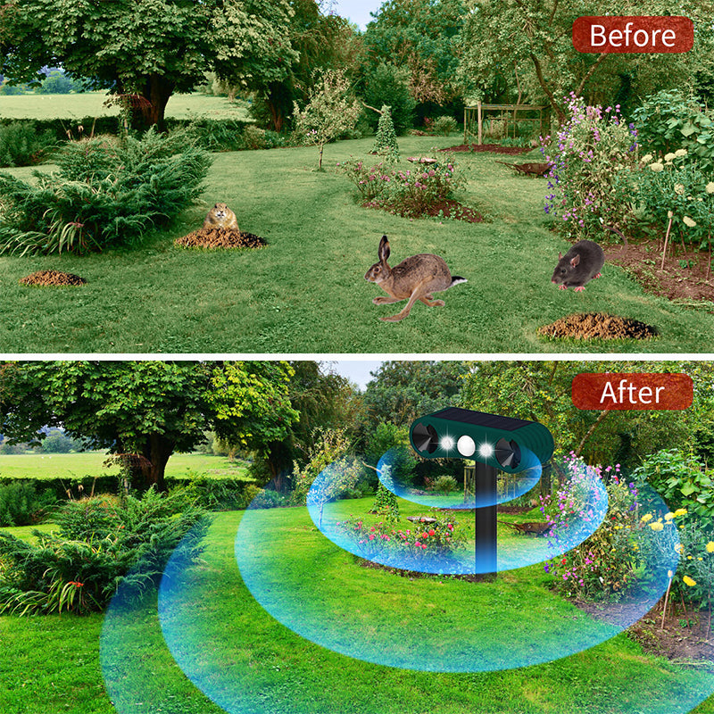 Lisslune | Solar motion sensor outdoor alarms for deterrence