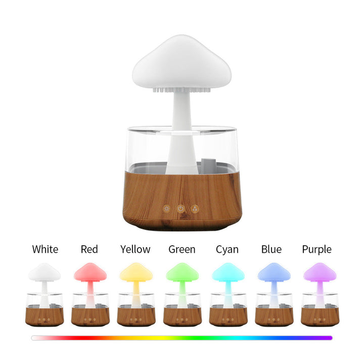 Lisslune | Rain Cloud humidifier