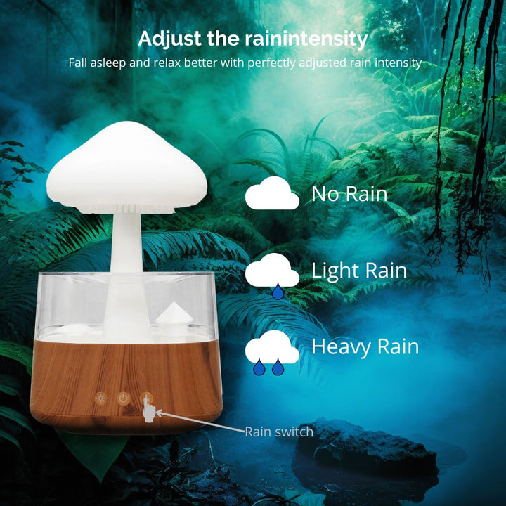 Lisslune | Rain Cloud humidifier