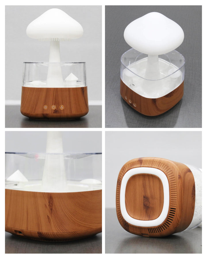 Lisslune | Rain Cloud humidifier
