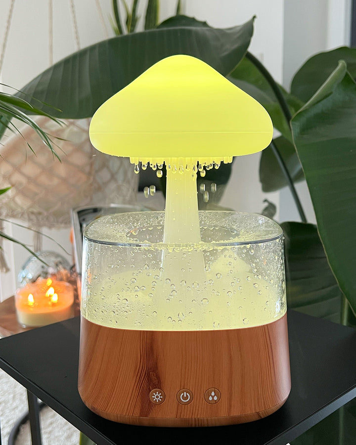 Lisslune | Rain Cloud humidifier