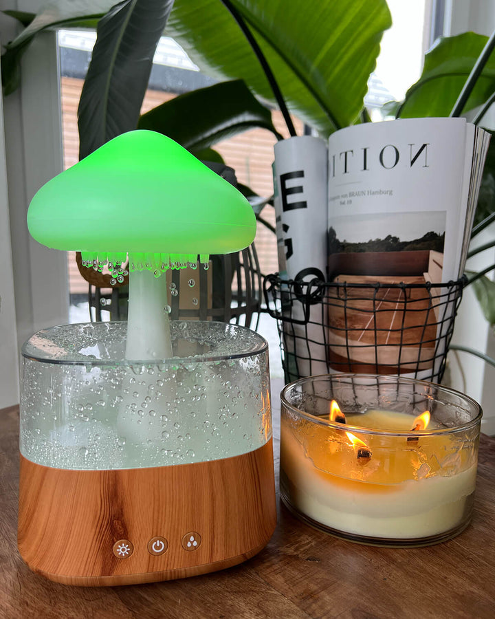 Lisslune | Rain Cloud humidifier