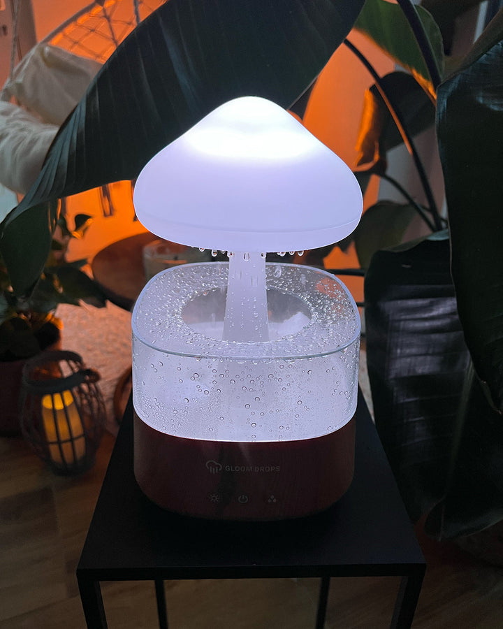Lisslune | Rain Cloud humidifier
