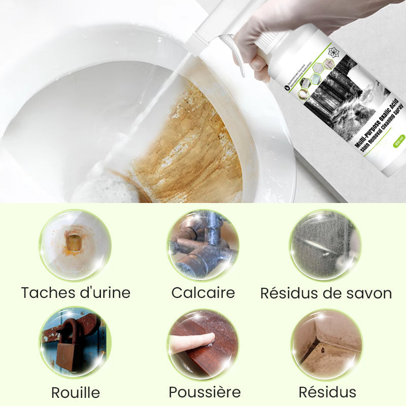 Lisslune | Limited time offer! All-purpose cleaner spray with oxalic acid for stain removal