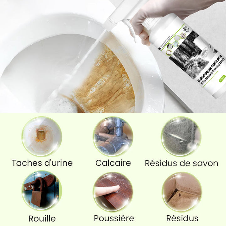 Lisslune | Limited time offer! All-purpose cleaner spray with oxalic acid for stain removal
