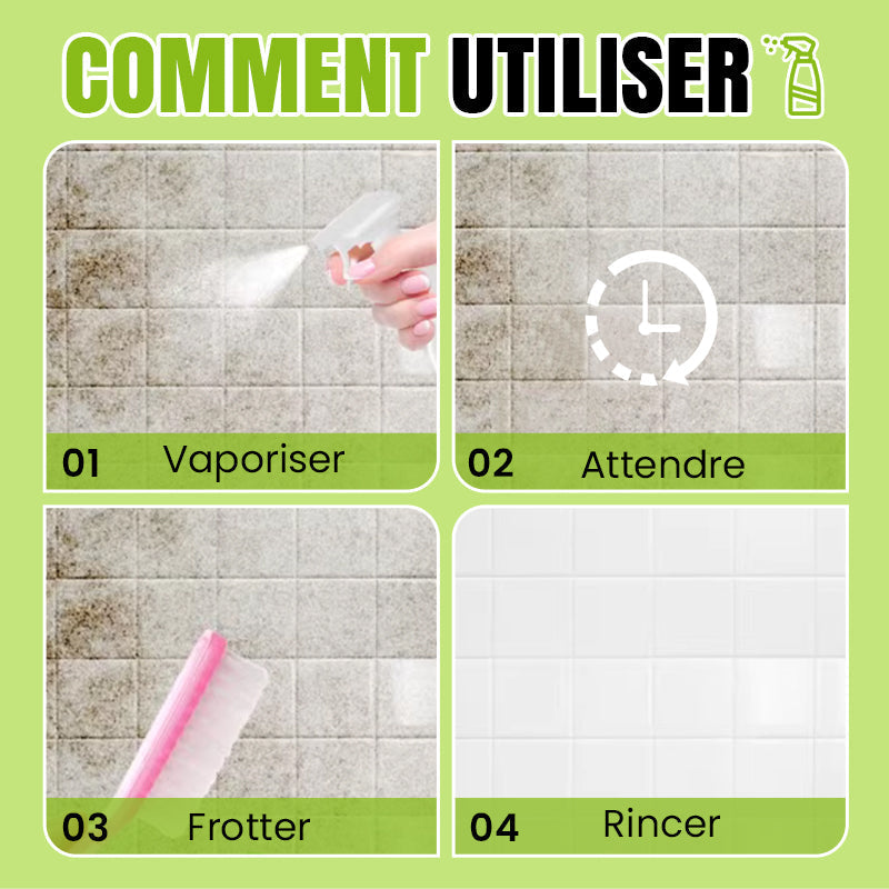 Lisslune | Limited time offer! All-purpose cleaner spray with oxalic acid for stain removal