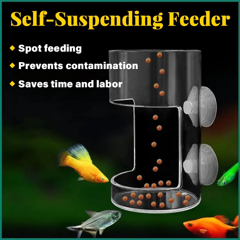 Lisslune | Feeding ring and tray for aquarium
