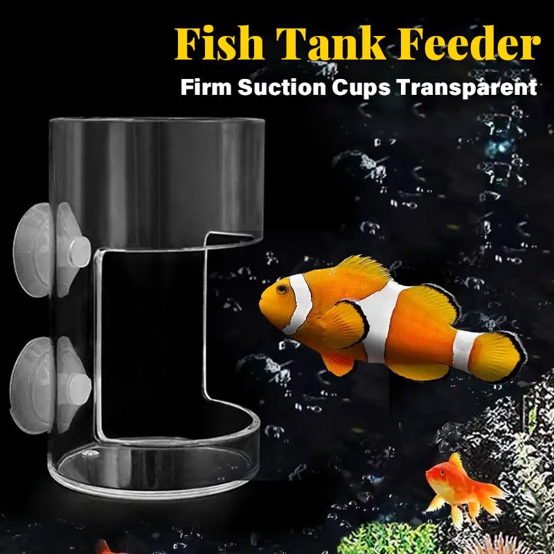 Lisslune | Feeding ring and tray for aquarium