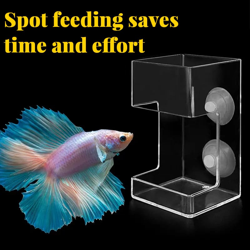 Lisslune | Feeding ring and tray for aquarium