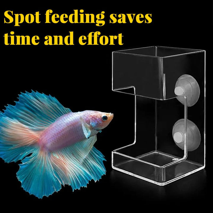 Lisslune | Feeding ring and tray for aquarium