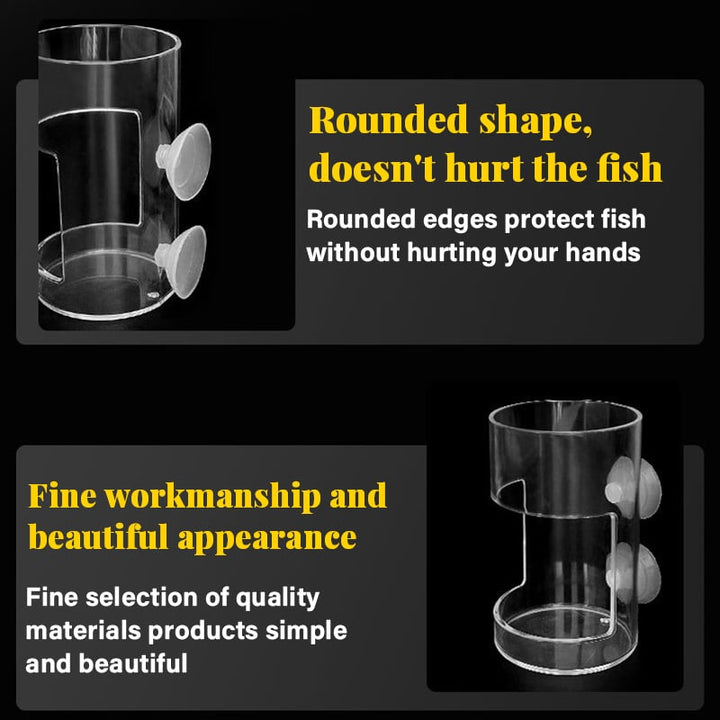 Lisslune | Feeding ring and tray for aquarium
