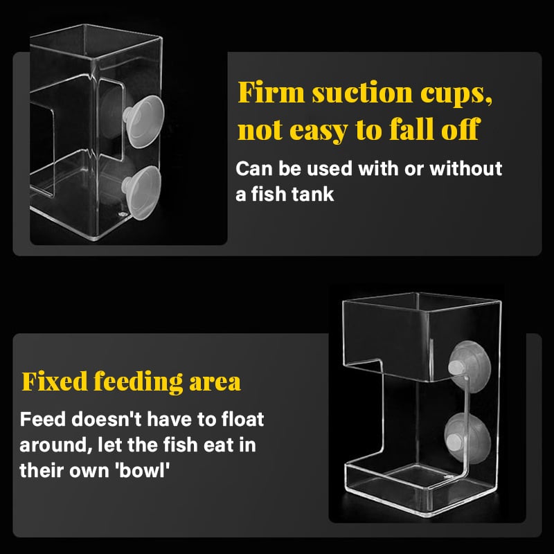 Lisslune | Feeding ring and tray for aquarium