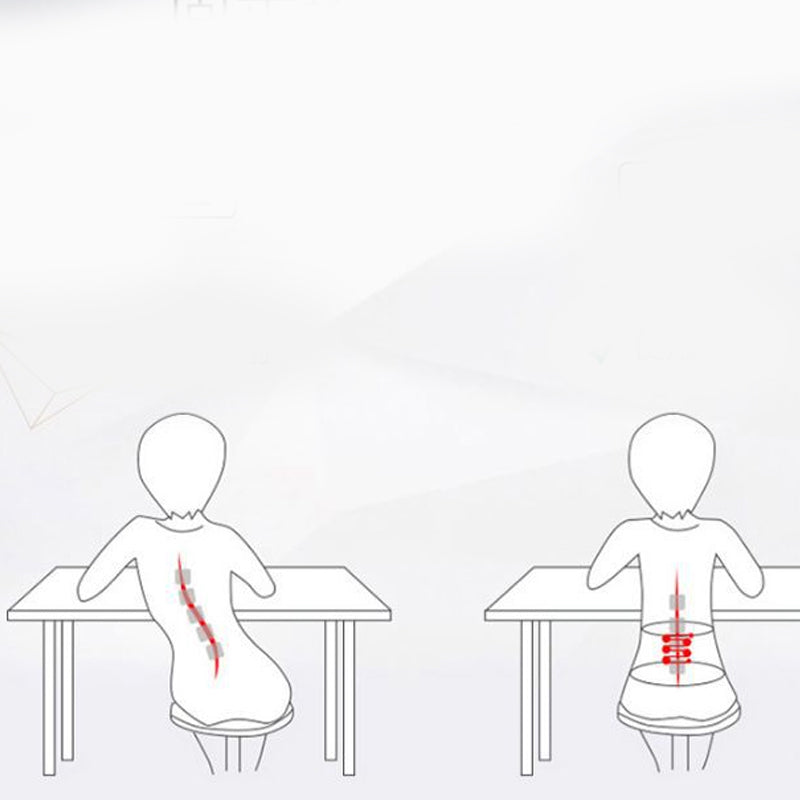 Lisslune | Adjustable back support belt for lower back