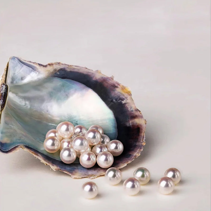 Lisslune | BUY 1 GET 1 FREELadies' high-end exquisite handmade pearl brooch