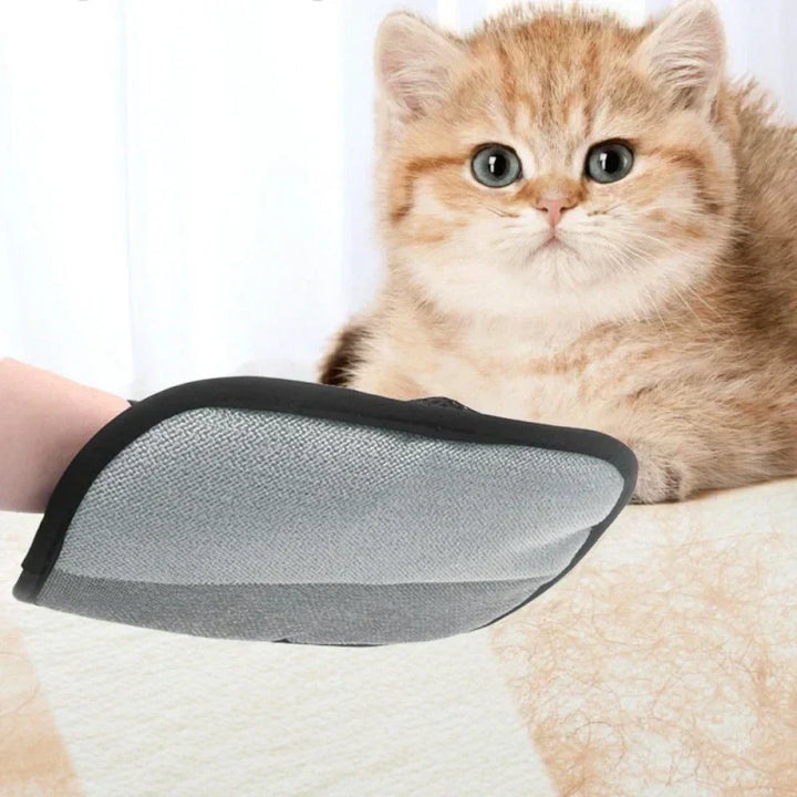 Lisslune |  Reusable gloves for removing pet hair