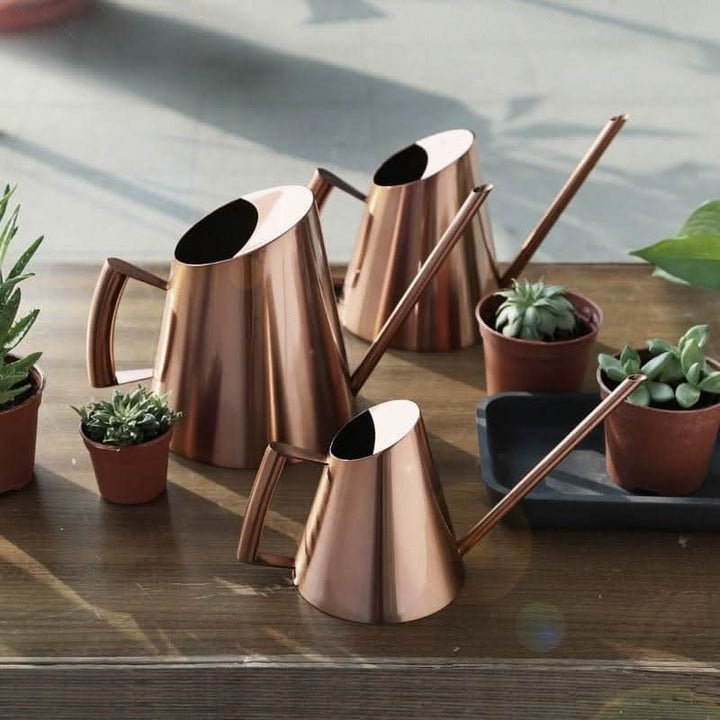 Lisslune | Terra - Durable Water Pot