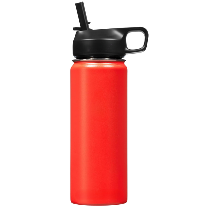 Lisslune | Stainless Steel Insulated Water Bottle with Straw - For Cold & Hot Drinks