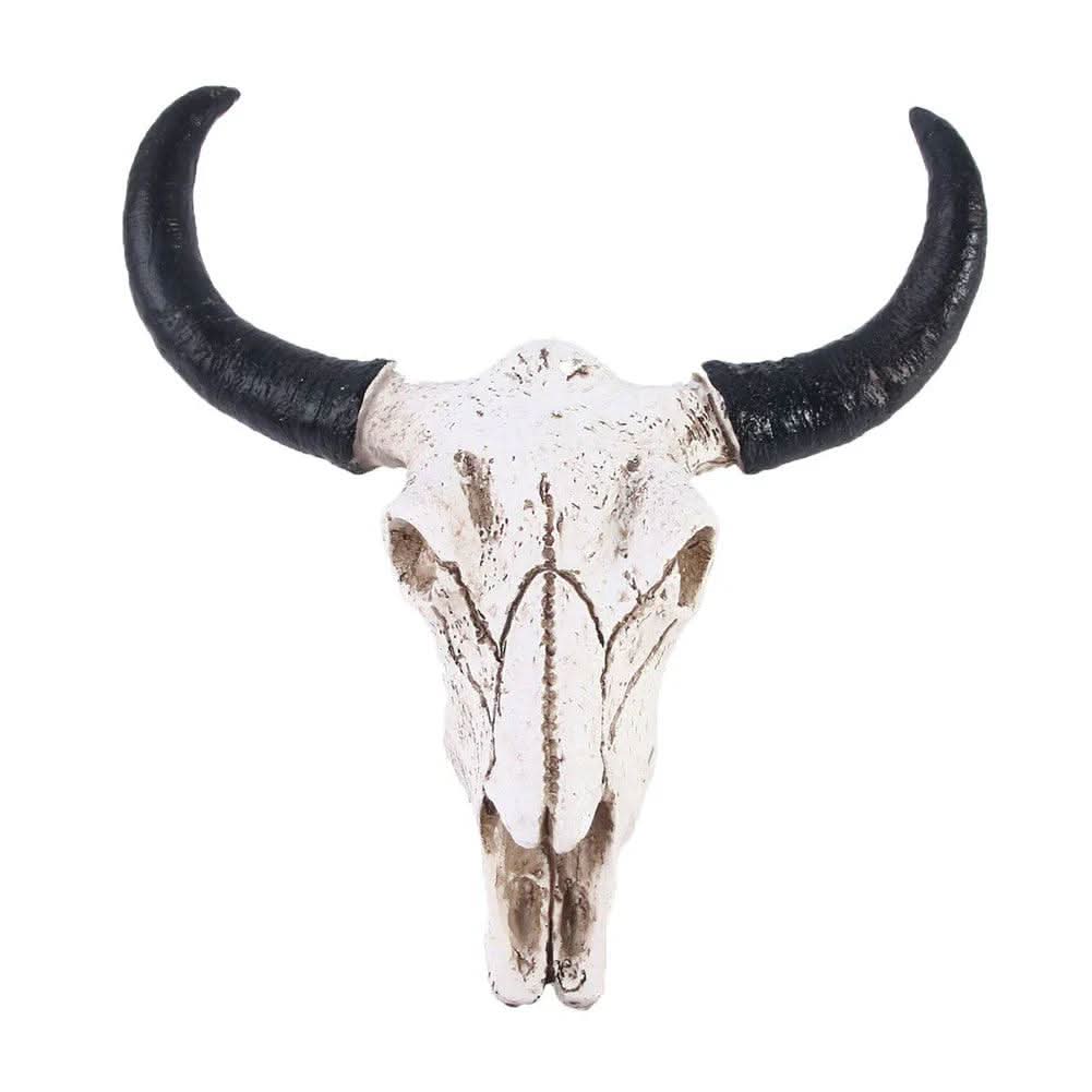 Lisslune | Decorative Resin Longhorn Skull Wall Art