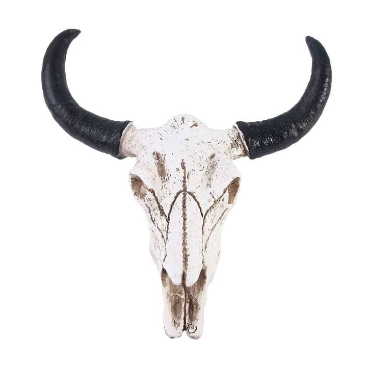 Lisslune | Decorative Resin Longhorn Skull Wall Art